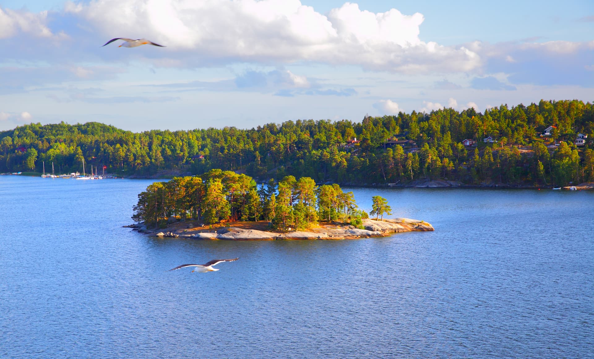 Flera små öar i Stockholms skärgård en solig dag
