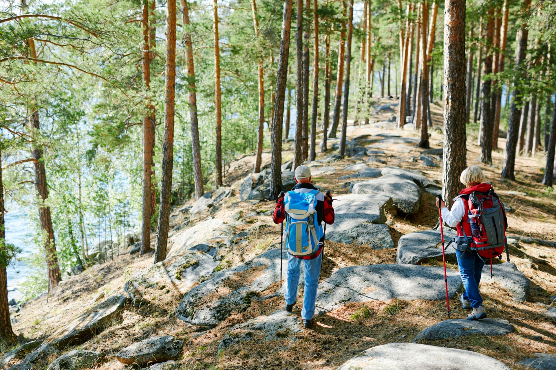 Två vandrare med ryggsäckar på stig i tallskog