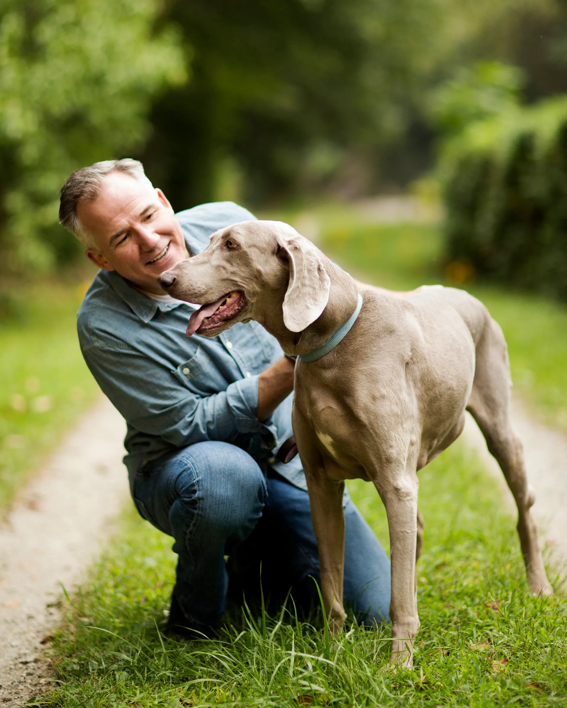 man kramar hund och använder Nordnet