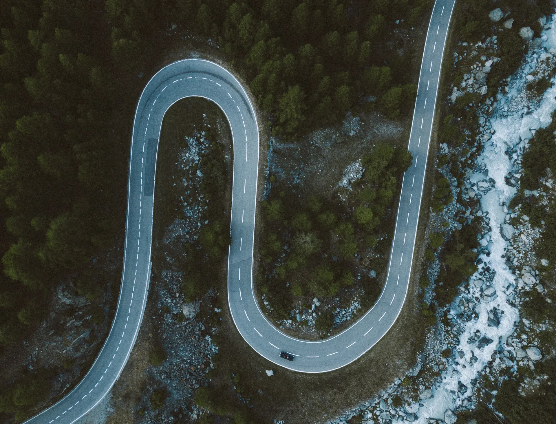 väg genom skogen till TF Bank